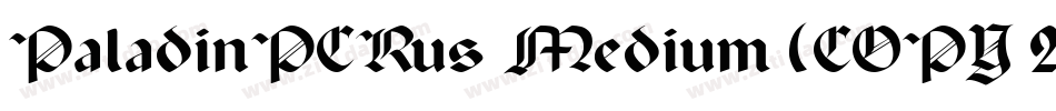 PaladinPCRus Medium (COPY 2)字体转换
